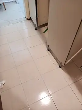 elexs06 live cam