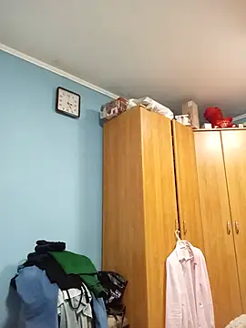 Sony28v