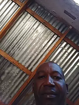WiseDi