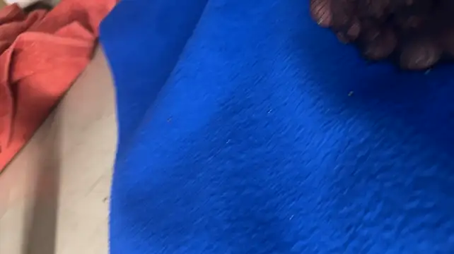 chocolateboy-pussy (Ask my age) - Las tipper get 5mins cntrl 🥵🥰🥶