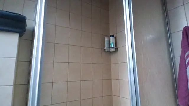 NordicGerman webcam