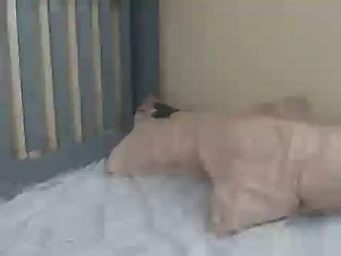 Sexymamasitta