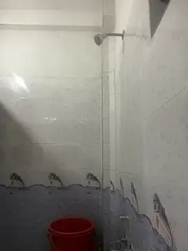 nodiingscropin