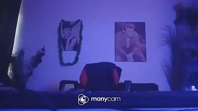 der_dino30 webcam