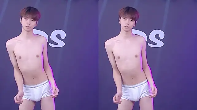 Ds-boy2