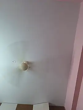 NewModel15cm live webcam