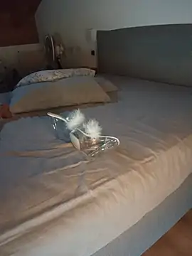 biondabona webcam