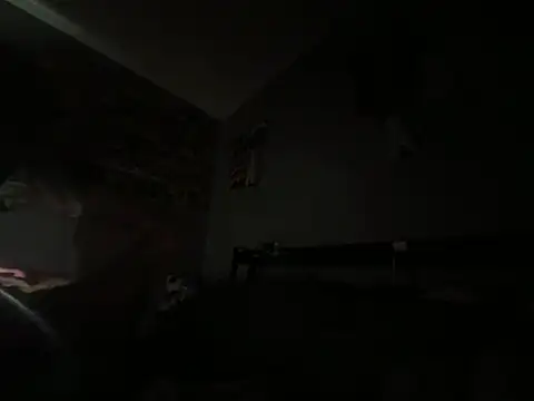 Bradgetshard2 live cam