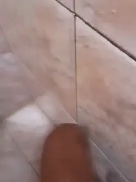 gg24polegada