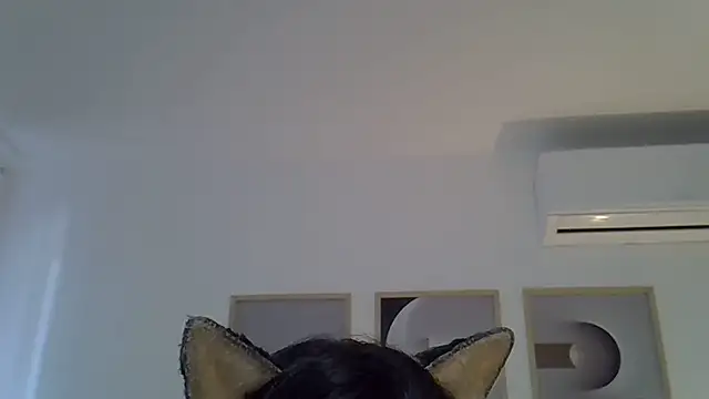 Modelo: SkinnyKitten