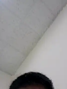 dogminigg
