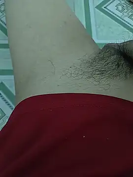traideudam