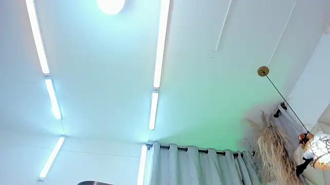 Ibbie_drastic webcam