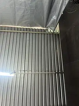 Rafaellaz live cam