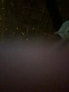 Blake0227 live cam