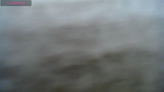 DAPHNE_doll webcam