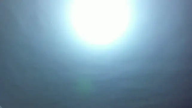 _Cherry_fox live cam on StripChat