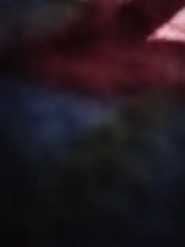 Bigbbcblack00