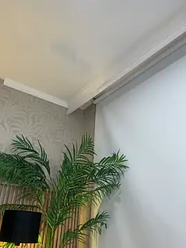Brisa_Silva webcam