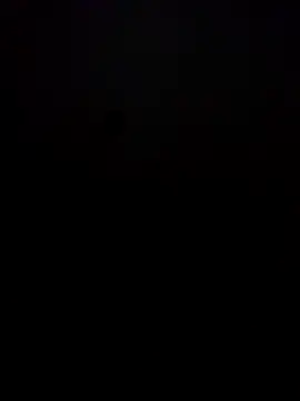 crookeddickbr webcam
