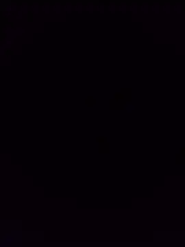 Palom2026