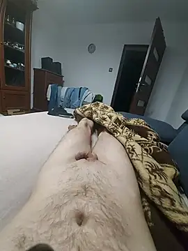 dawid880608 live cam preview