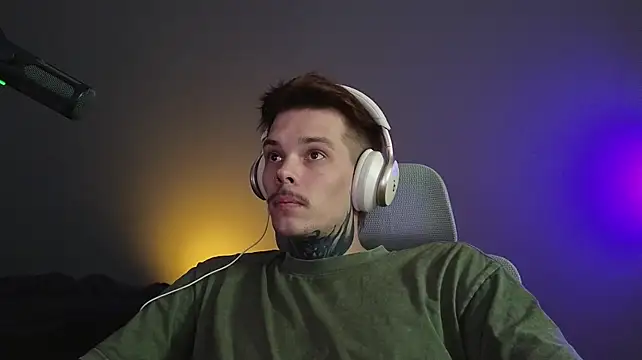 DENIS_HERE webcam