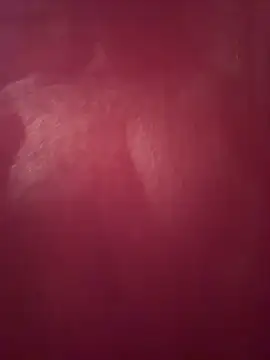 Hoot-Anime- live cam