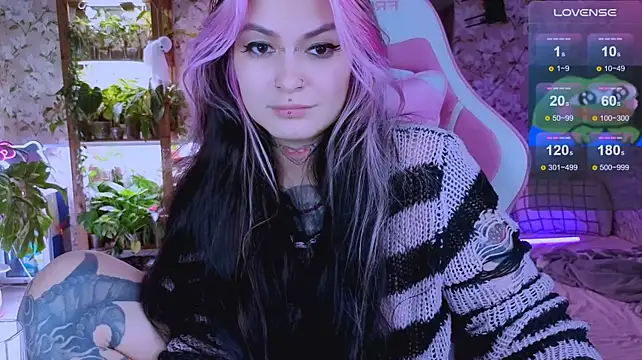 jelya_sg live cam on StripChat