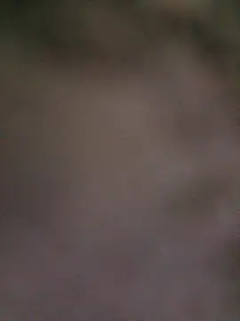 Mrbbcfunonline