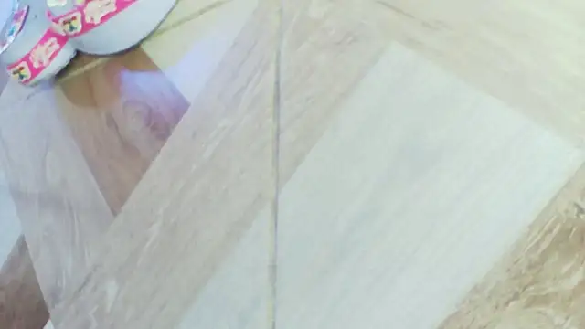 karol_stom