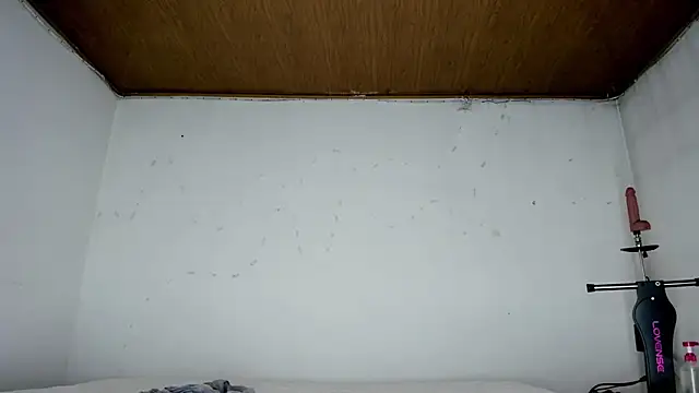 karol_stom live cam on StripChat