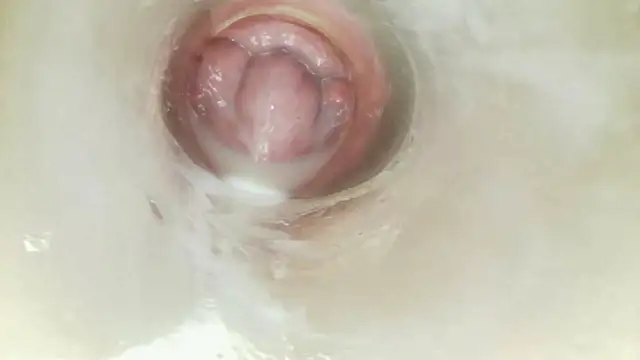 karol_stom