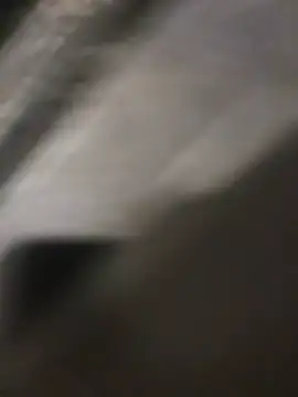 Feathers6-9 live cam