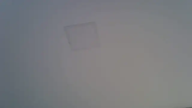 SkinnyKitten live cam
