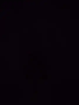 Palom2026