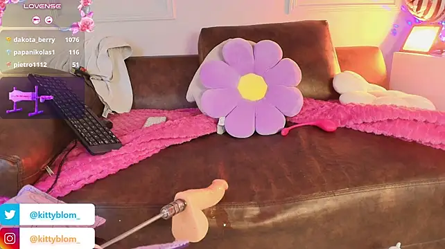 kittyblooms