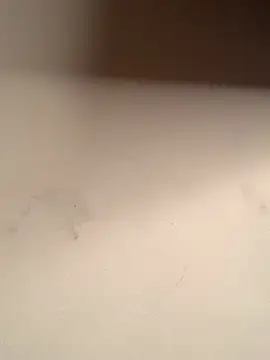 fitboycm1