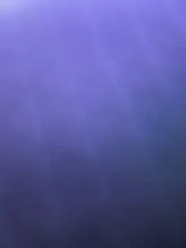 Taylor_Ec