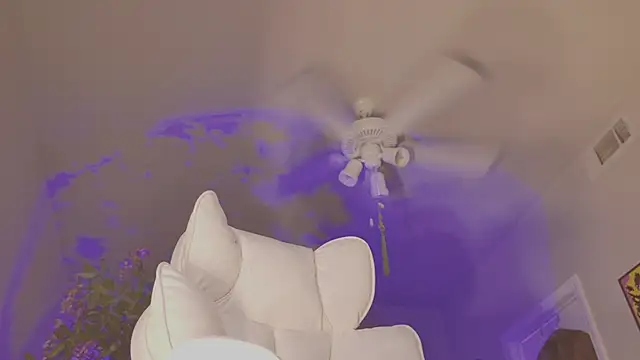 Talulaa live cam