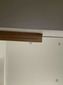 JuliaPlushy