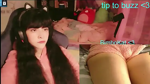BimboCat live cam preview
