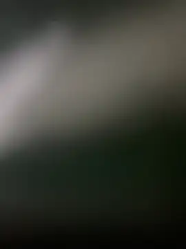 Aotearoa2 live cam