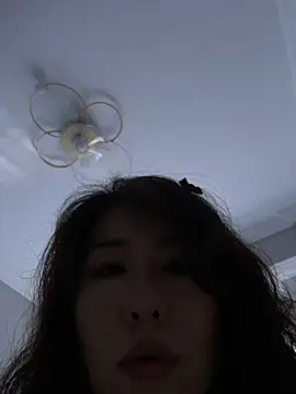 Domi-520