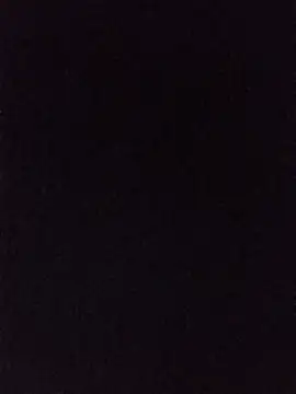 Hairy_mannn2