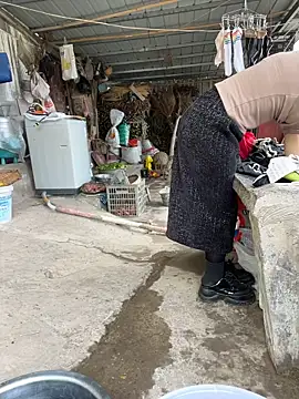 Lajiao-55 webcam