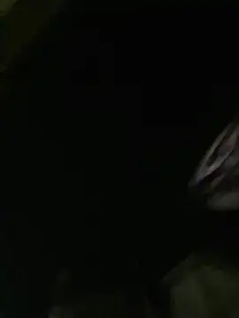 ZaneHoward live cam