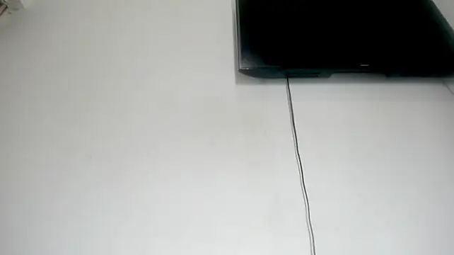 Fox_Loves