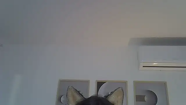 SkinnyKitten