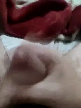 gferraz23 live cam